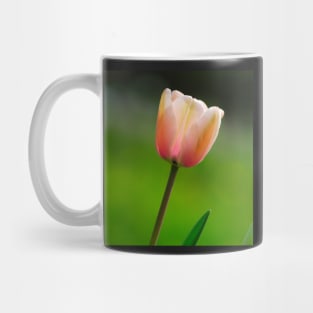 Pink Tulip Mug